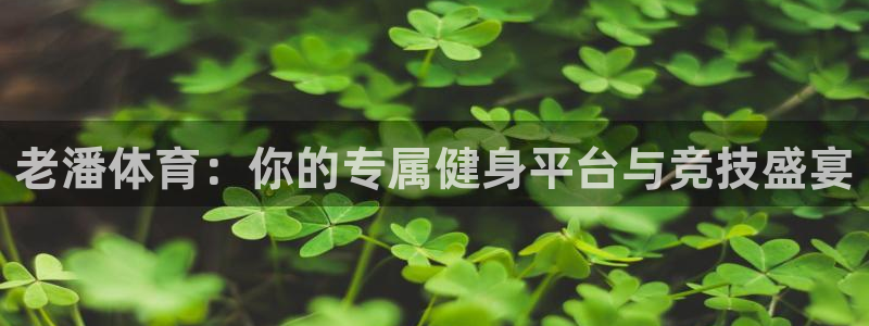 老潘体育：你的专属健身平台与竞技盛宴