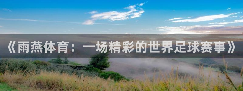 《雨燕体育：一场精彩的世界足球赛事》