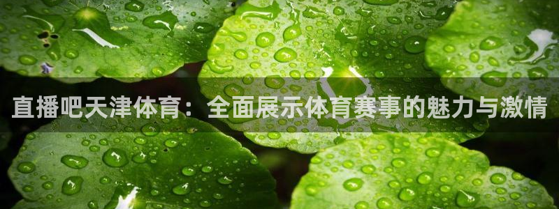直播吧天津体育：全面展示体育赛事的魅力与激情