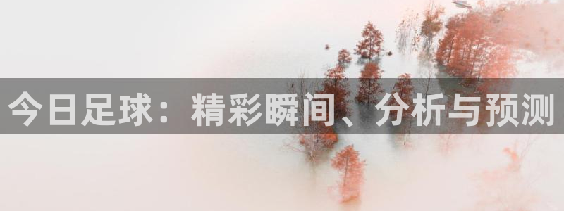 今日足球：精彩瞬间、分析与预测