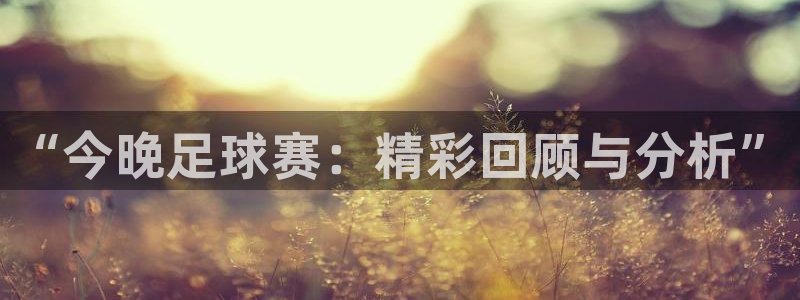 “今晚足球赛：精彩回顾与分析”