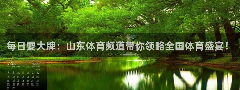 每日耍大牌：山东体育频道带你领略全国体育盛宴！