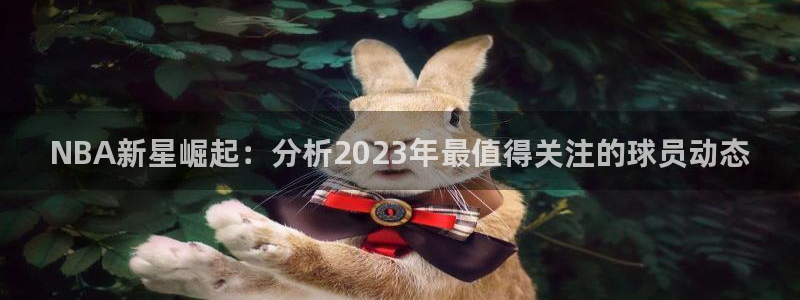 NBA新星崛起：分析2023年最值得关注的球员动态
