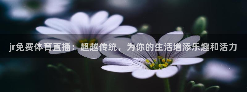 jr免费体育直播：超越传统，为你的生活增添乐趣和活力