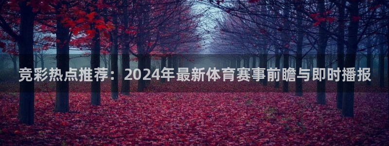 竞彩热点推荐：2024年最新体育赛事前瞻与即时播报