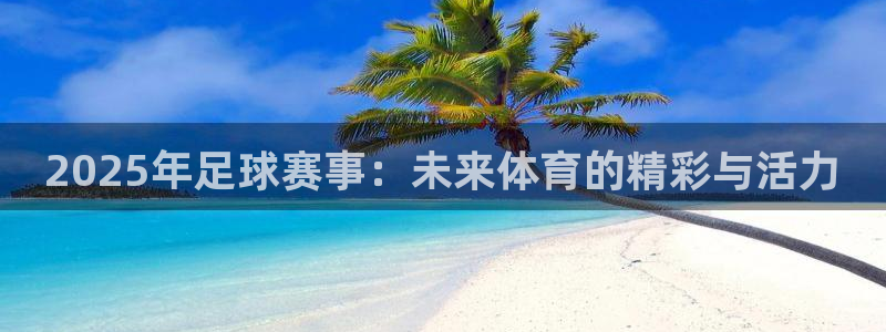 2025年足球赛事：未来体育的精彩与活力
