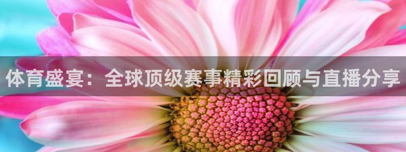 体育盛宴：全球顶级赛事精彩回顾与直播分享
