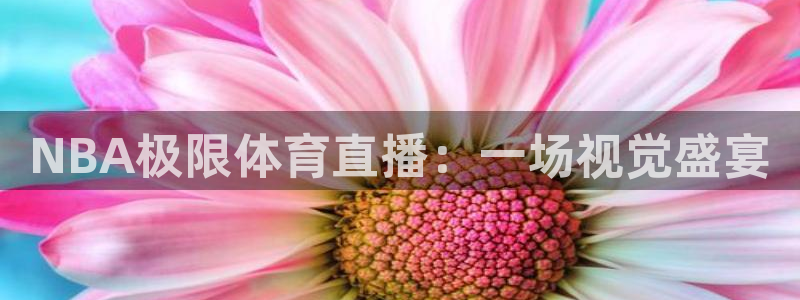 NBA极限体育直播：一场视觉盛宴