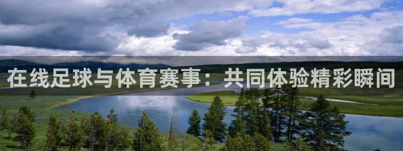 在线足球与体育赛事：共同体验精彩瞬间
