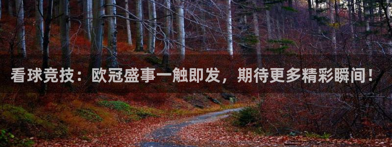 看球竞技：欧冠盛事一触即发，期待更多精彩瞬间！