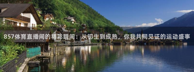 857体育直播间的精彩瞬间：从初生到成熟，你我共同见证的运动盛事
