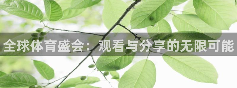 全球体育盛会：观看与分享的无限可能