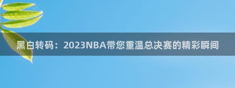 黑白转码：2023NBA带您重温总决赛的精彩瞬间