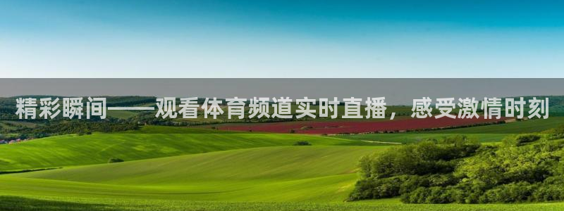 精彩瞬间——观看体育频道实时直播，感受激情时刻