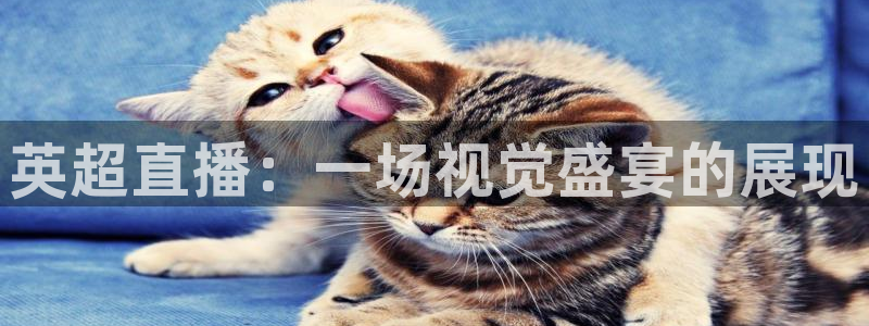 英超直播：一场视觉盛宴的展现