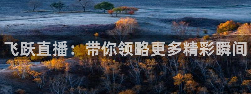 飞跃直播：带你领略更多精彩瞬间