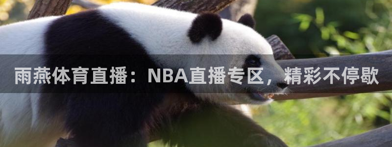 雨燕体育直播：NBA直播专区，精彩不停歇