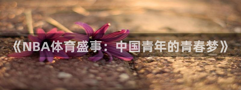 《NBA体育盛事：中国青年的青春梦》
