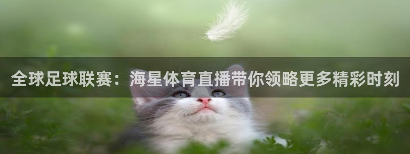 全球足球联赛：海星体育直播带你领略更多精彩时刻