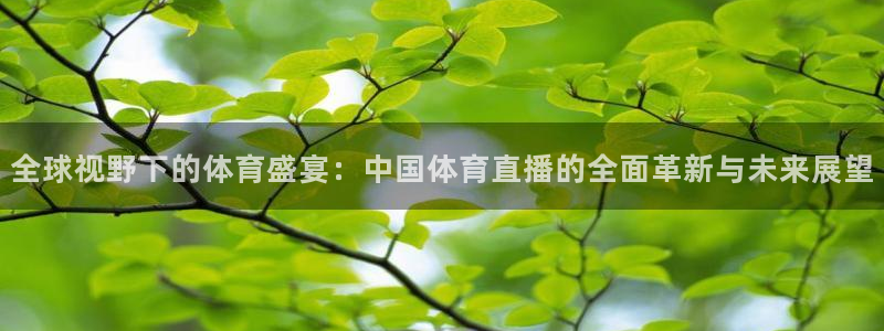 全球视野下的体育盛宴：中国体育直播的全面革新与未来展望