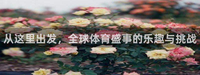 从这里出发，全球体育盛事的乐趣与挑战