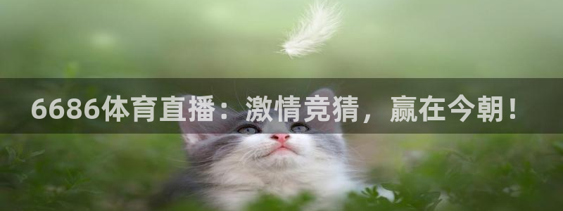 6686体育直播：激情竞猜，赢在今朝！
