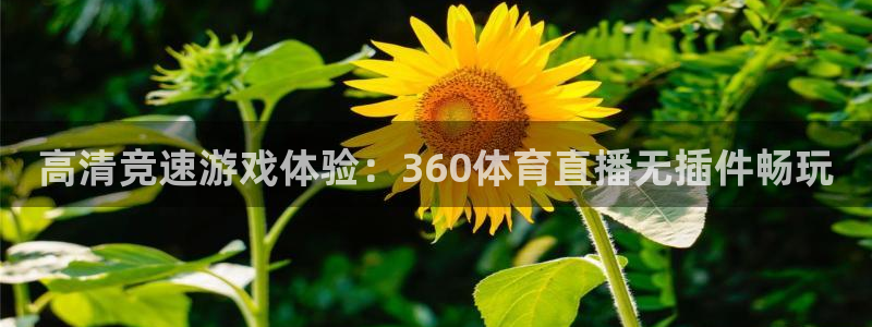 高清竞速游戏体验：360体育直播无插件畅玩