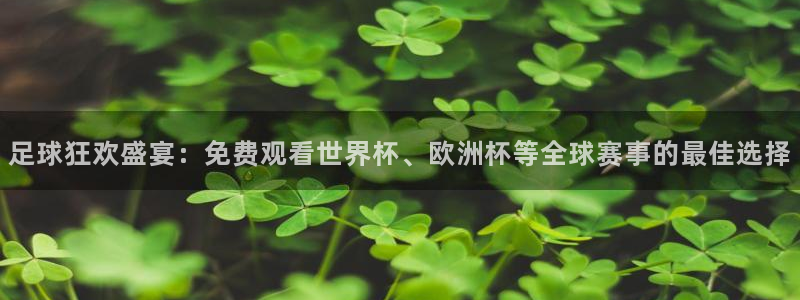 足球狂欢盛宴：免费观看世界杯、欧洲杯等全球赛事的最佳选择