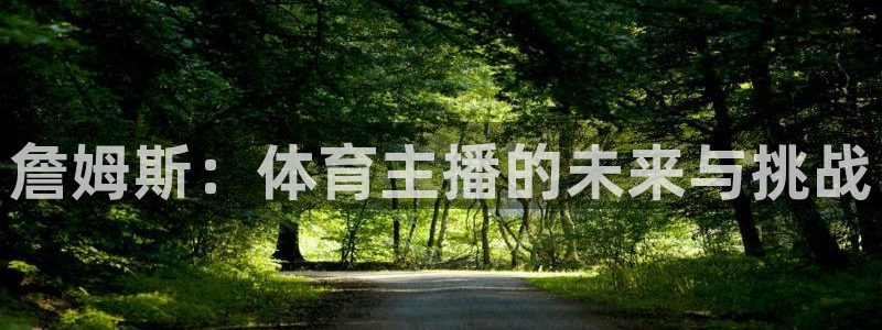詹姆斯：体育主播的未来与挑战
