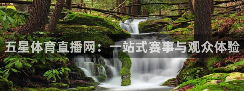 五星体育直播网：一站式赛事与观众体验