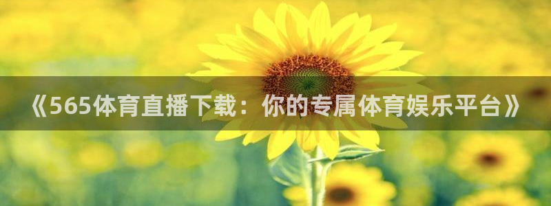 《565体育直播下载：你的专属体育娱乐平台》