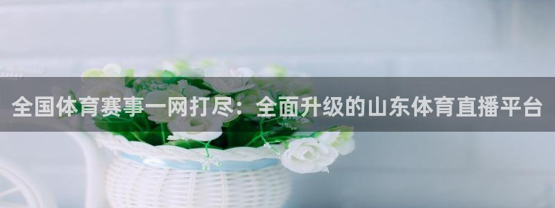 全国体育赛事一网打尽：全面升级的山东体育直播平台