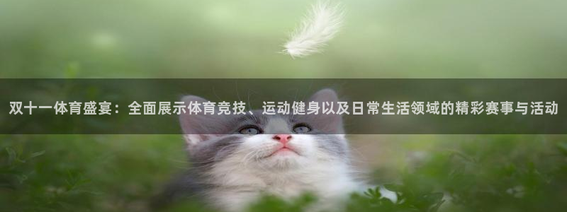 双十一体育盛宴：全面展示体育竞技、运动健身以及日常生活领域的精彩赛事与活动