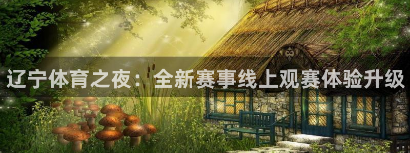 辽宁体育之夜：全新赛事线上观赛体验升级