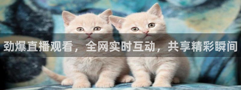 劲爆直播观看，全网实时互动，共享精彩瞬间