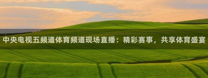 中央电视五频道体育频道现场直播：精彩赛事，共享体育盛宴