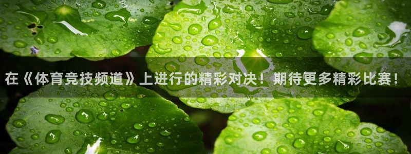 在《体育竞技频道》上进行的精彩对决！期待更多精彩比赛！