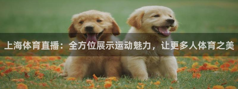 上海体育直播：全方位展示运动魅力，让更多人体育之美