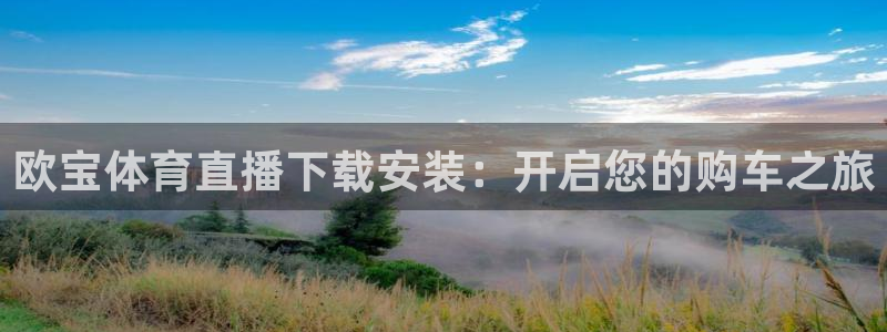 欧宝体育直播下载安装：开启您的购车之旅