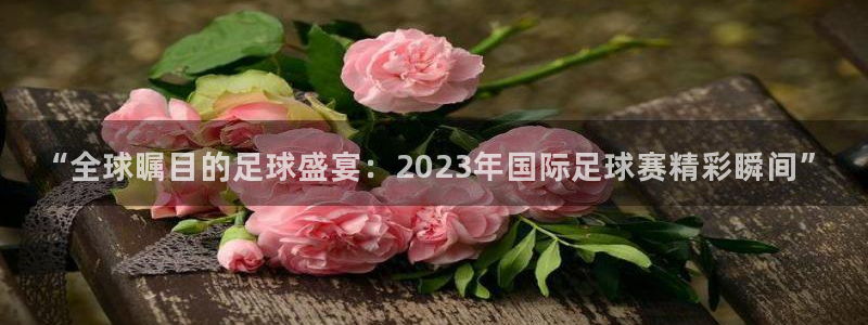 “全球瞩目的足球盛宴：2023年国际足球赛精彩瞬间”