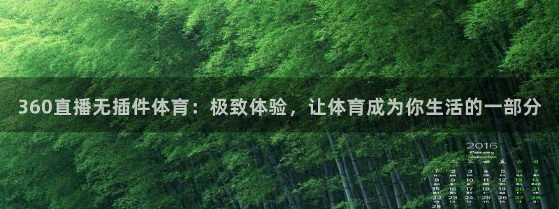 360直播无插件体育：极致体验，让体育成为你生活的一部分