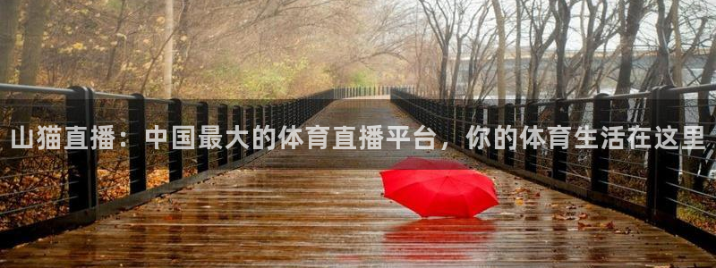 山猫直播：中国最大的体育直播平台，你的体育生活在这里