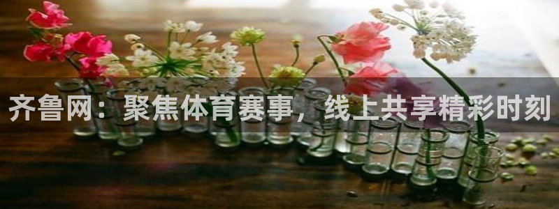 齐鲁网：聚焦体育赛事，线上共享精彩时刻