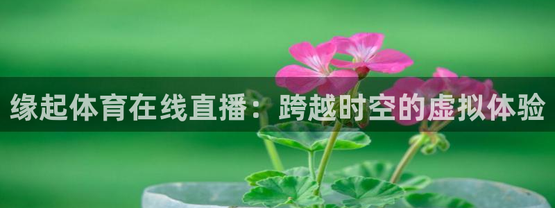 缘起体育在线直播：跨越时空的虚拟体验