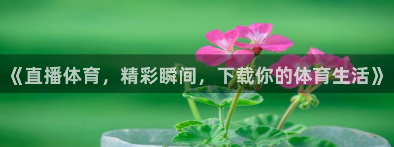 《直播体育，精彩瞬间，下载你的体育生活》