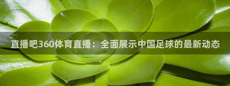 直播吧360体育直播：全面展示中国足球的最新动态