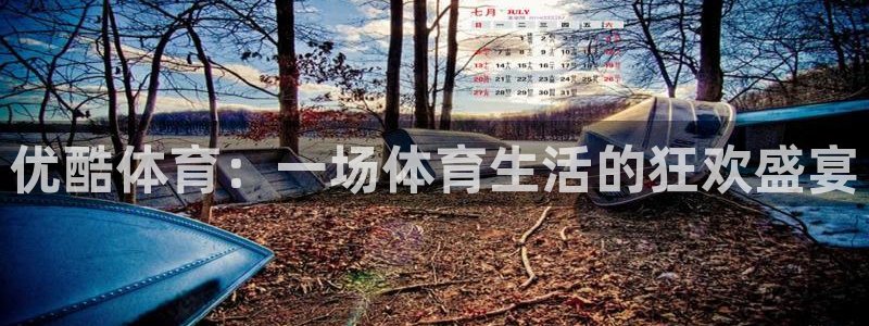 优酷体育：一场体育生活的狂欢盛宴