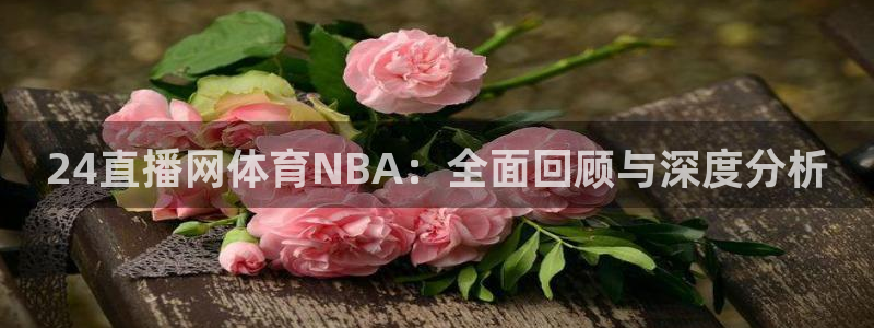 24直播网体育NBA：全面回顾与深度分析