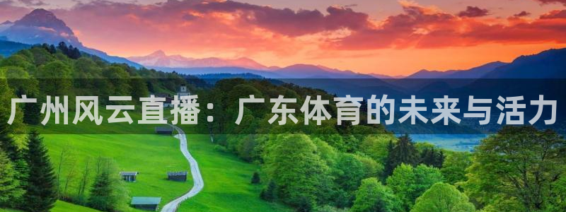 广州风云直播：广东体育的未来与活力